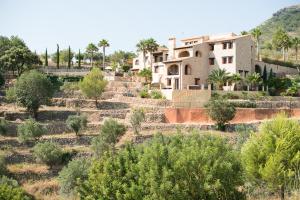 Príroda v okolí of the country house
