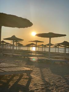 a group of umbrellas on a beach with the sunset at Vila La Mer Mamaia Nord in Mamaia Nord