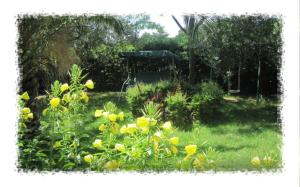 a garden with yellow flowers in the grass at Hostel Oktarin in Kaštela +26 photos
