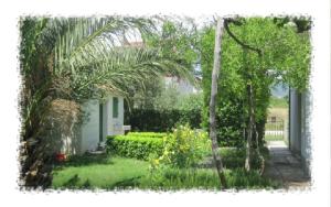 a yard with a palm tree and a house at Hostel Oktarin in Kaštela