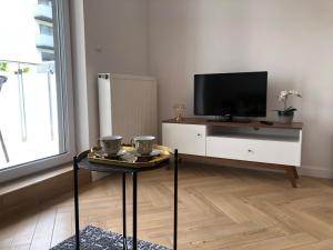 Televízia a/alebo spoločenská miestnosť v ubytovaní Apartament Pileckiego
