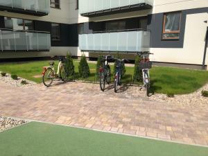 Jazda na bicykli v okolí ubytovania Apartament Pileckiego