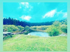 einen Picknicktisch auf einem Feld neben einem See in der Unterkunft Farmhouse Cottage set in beautiful countryside in Oswestry