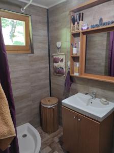 W łazience znajduje się umywalka, toaleta i lustro. w obiekcie MontenegrinaBiH, Petrovici, Istocno Sarajevo w Sarajewie