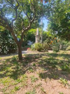a park with a tree and a statue at Coco's Apartment in Meta