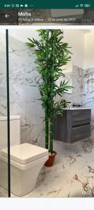 a bathroom with a toilet and a potted plant at Suites 5* Lahcene in Alicante +56 photos
