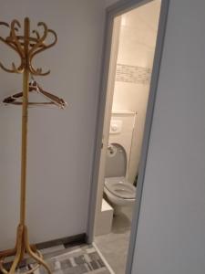 a bathroom with a toilet and a glass door at STUDIO la TOUSSUIRE EN SAVOIE in La Toussuire