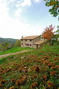 an old house on a hill with a pile of grass at AGRITURISMO LA PIAGGIA appartamenti a Vivo D'Orcia in Vivo dʼOrcia
