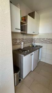 Küche/Küchenzeile in der Unterkunft Apartmani Slavonija