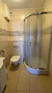 ein Badezimmer mit Dusche und Toilette in der Unterkunft Apartmani Slavonija in Orebić