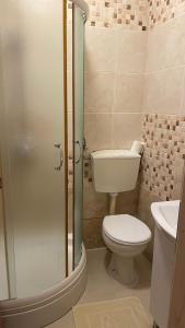 Ein Badezimmer in der Unterkunft Apartmani Slavonija