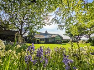 a garden with purple flowers in front of a house at Wayside Cottage 1637 in Millom