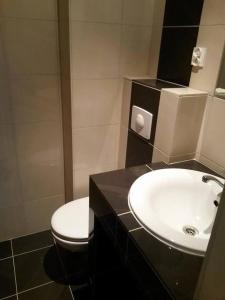 La salle de bains est pourvue d'un lavabo blanc et de toilettes. dans l'établissement Dom Wypoczynkowy Relaks, à Rytro