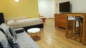 TV a/nebo společenská místnost v ubytování Apartment Metzingen City
