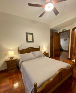 sypialnia z łóżkiem i wentylatorem sufitowym w obiekcie Hostal Cristina w mieście Estella
