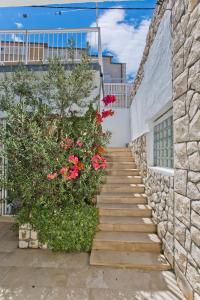 Hvar Deluxe Rooms外面的花园