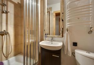 a bathroom with a sink and a toilet and a shower at U Lawendowej Wiedźmy in Istebna
