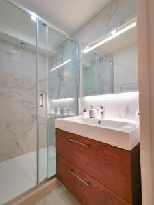 La salle de bains est pourvue d'un lavabo et d'une douche. dans l'établissement L'élégant de fourvière, à Lyon