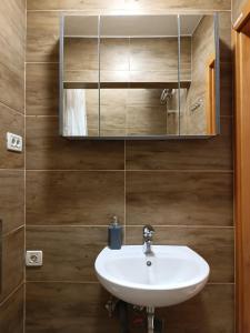 a bathroom with a sink and a mirror at Apartments Aura in Deskle