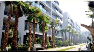 a row of palm trees in front of a building at Cosy appartement à Ain Diab beach in Casablanca