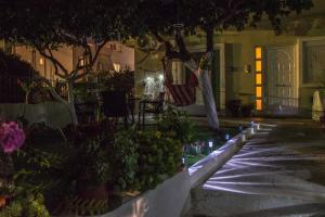 A garden outside The Prickly Pear Apartment
