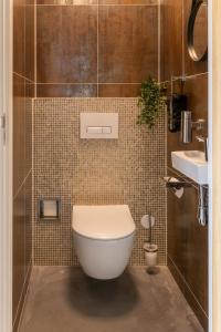 a bathroom with a toilet and a sink at Casa Morreni, luxe villa met sauna in Voorthuizen