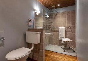 a bathroom with a toilet and a shower at Hôtel-Résidence La Rubanerie in Schirmeck