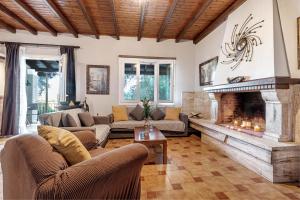 Manteshouse في باليوكاستريتسا: غرفة معيشة مع كنب ومدفأة