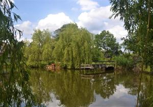 a view of a river with a bench and trees at Przystań Rudniki 