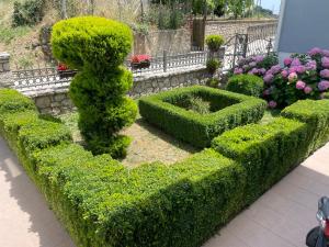 a hedge garden with bushes and flowers at Kasneci Apartments in Ulcinj