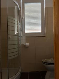 a bathroom with a shower and a toilet and a window at Apartment Ružica in Sukošan +43 photos