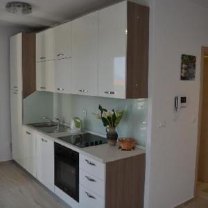 Kuchyň nebo kuchyňský kout v ubytování Apartments Leon
