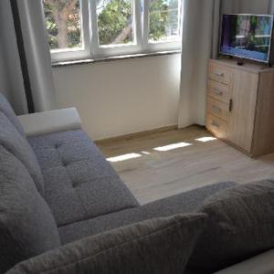 TV a/nebo společenská místnost v ubytování Apartments Leon