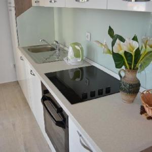 Kuchyň nebo kuchyňský kout v ubytování Apartments Leon