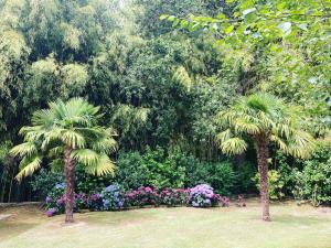 Zahrada ubytování Villa de charme parc fleuri, arboré et piscine à BIARRITZ