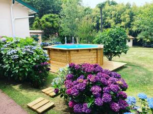 Zahrada ubytování Villa de charme parc fleuri, arboré et piscine à BIARRITZ