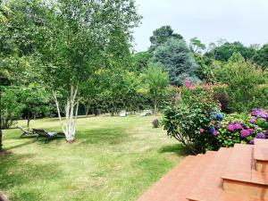 Zahrada ubytování Villa de charme parc fleuri, arboré et piscine à BIARRITZ