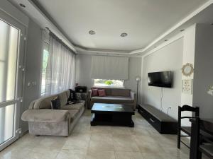 uma sala de estar com um sofá e uma televisão em Villa Elsa em Skala Rachoniou