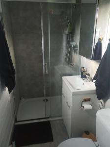 ein Bad mit einer Dusche, einem WC und einem Waschbecken in der Unterkunft Stacja Roztocze in Majdan Kasztelański