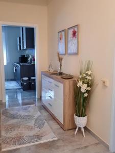 kuchnia z komodą z wazonem kwiatów w obiekcie Ferienhaus Lina w mieście Neusiedl am See +15 zdjęć