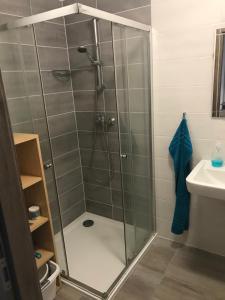 a shower with a glass door in a bathroom at Apartmán Plovárna in Kamenice nad Lipou +18 photos