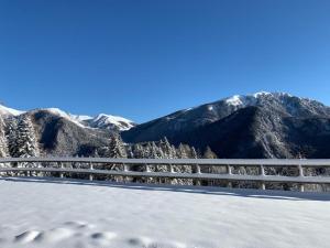 Φωτογραφία από το άλμπουμ του BAITA ELIO - 022142-AT-010446 σε Pieve Tesino +20 φωτογραφίες