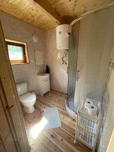 a small bathroom with a toilet and a shower at Uweronci in Ustrzyki Dolne