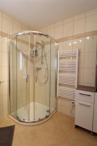 een douche met een glazen deur in de badkamer bij Chalet MALLNOCK in Bad Kleinkirchheim