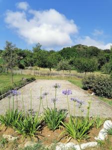 a garden with purple flowers in a yard at Maison de l Évêque d'Ozenx in Ozenx