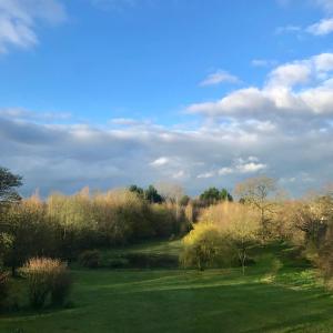 uma vista para um campo com árvores e relva em Duneden Cottage and Grounds em Randalstown