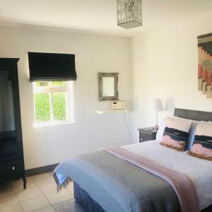 um quarto com uma cama, uma janela e uma televisão em Duneden Cottage and Grounds em Randalstown