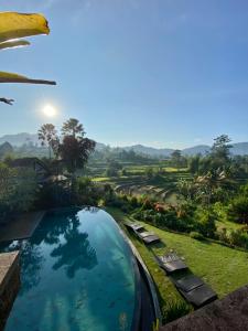 a swimming pool with a view of a field at Sawah Indah Villa in Sidemen
