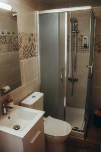 a bathroom with a shower and a toilet and a sink at Kallithea INN in Platres
