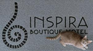 un chat se posant sur le sol à côté d'un panneau dans l'établissement Inspira Boutique Hotel Thassos - Adults Only, à Prinos